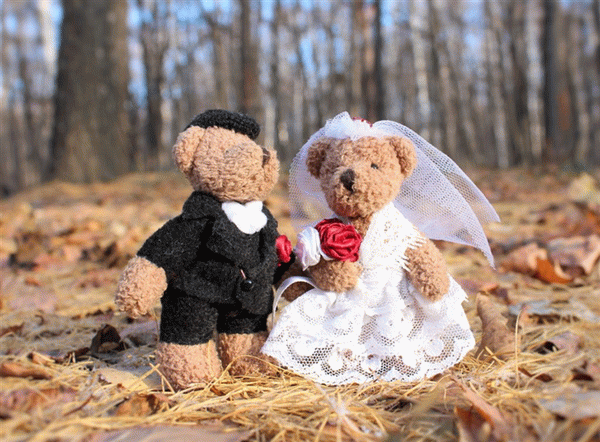 В каком возрасте можно вступать в брак в России